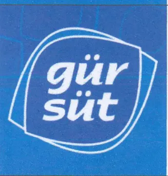 (figurative mark) trademark logo