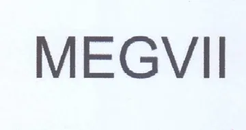 MEGVII trademark logo