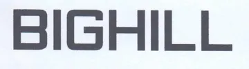 BIGHILL trademark logo