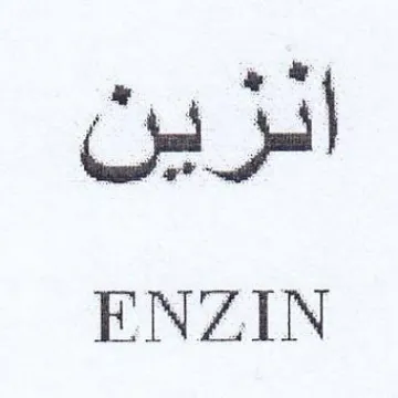 ENZIN trademark logo