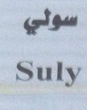 Suly سولي trademark logo