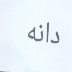 ily trademark logo