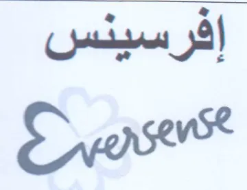 Ses vst trademark logo