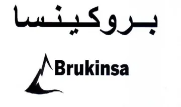 بروكينسا اا م trademark logo