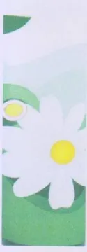 wy Bes trademark logo