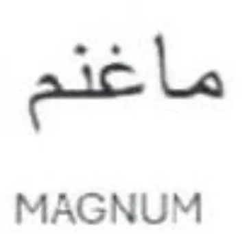 aic le MAGNUM trademark logo