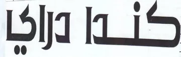 Lid iS trademark logo