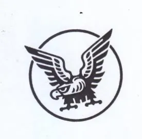 aa S G trademark logo