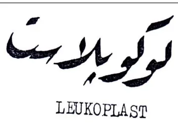 KM SS trademark logo