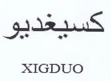 AXIGDUO trademark logo