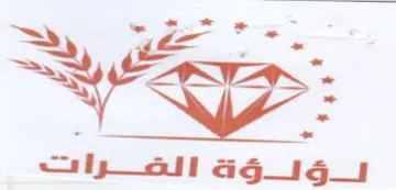 Se ge loll 4g trademark logo