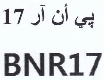 BNR17 بي أن آر trademark logo