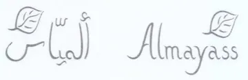 FEI سا trademark logo