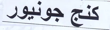 (figurative mark) trademark logo