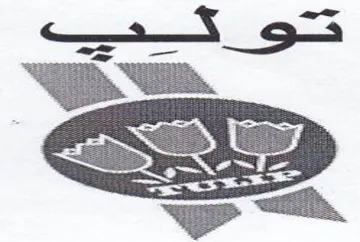 wae 2 trademark logo