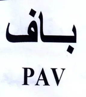 PAV باف