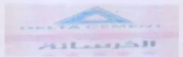 ae trademark logo