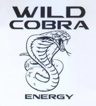 ILD COBRA 2 trademark logo
