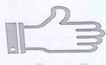 ms