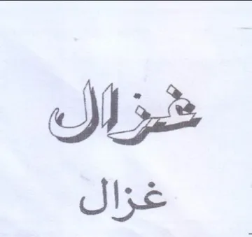 Se Si trademark logo