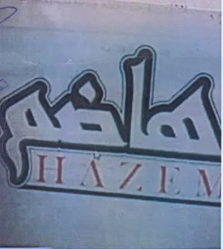 Se ts ga trademark logo
