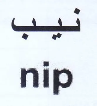 nip trademark logo