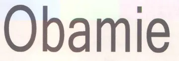 Obamie trademark logo