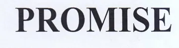 PROMISE trademark logo