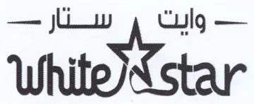 (figurative mark) trademark logo