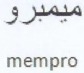 s mempro trademark logo