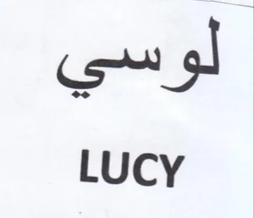 LUCY لوسي trademark logo