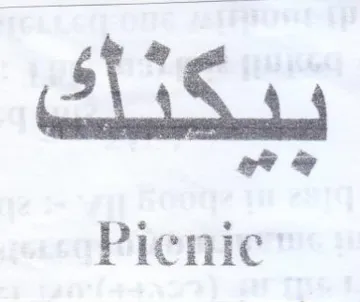 Picnic نتكتك trademark logo