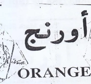 Pe meas trademark logo