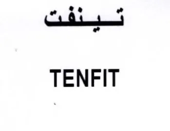 Ze 1 . TENFIT trademark logo