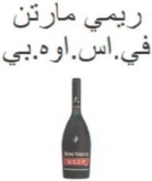 ريحي مارتن في trademark logo