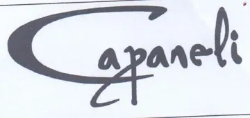 apanelt trademark logo