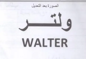 ily WALTER trademark logo