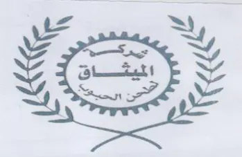 ty eX SS trademark logo