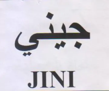 JINI trademark logo