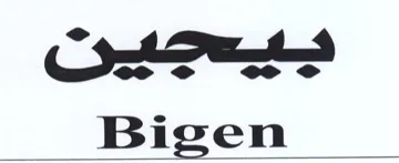 Bigen trademark logo