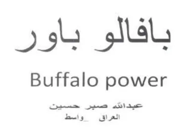 Buffalo power بافالو باور trademark logo