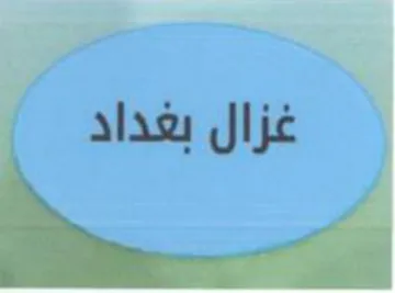 (figurative mark) trademark logo