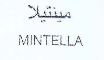 SNisiine MINTELLA trademark logo