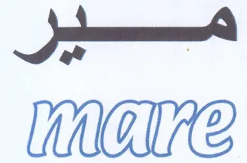 eas WOME trademark logo