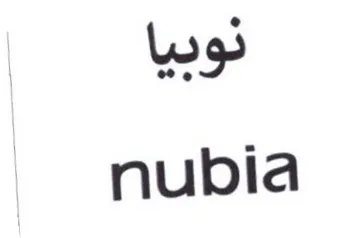 nubia trademark logo