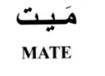 MATE مبت trademark logo