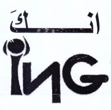 ae INS trademark logo