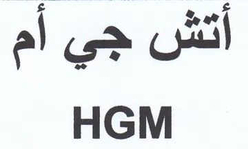 HGM أتش جي trademark logo