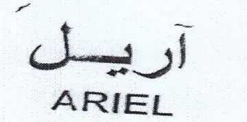 Suna 3h ARIEL trademark logo