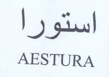 AESTURA استو trademark logo